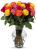 Benchmark Bouquets 24 Stem Premium Rainbow Roses - Fresh Next Day