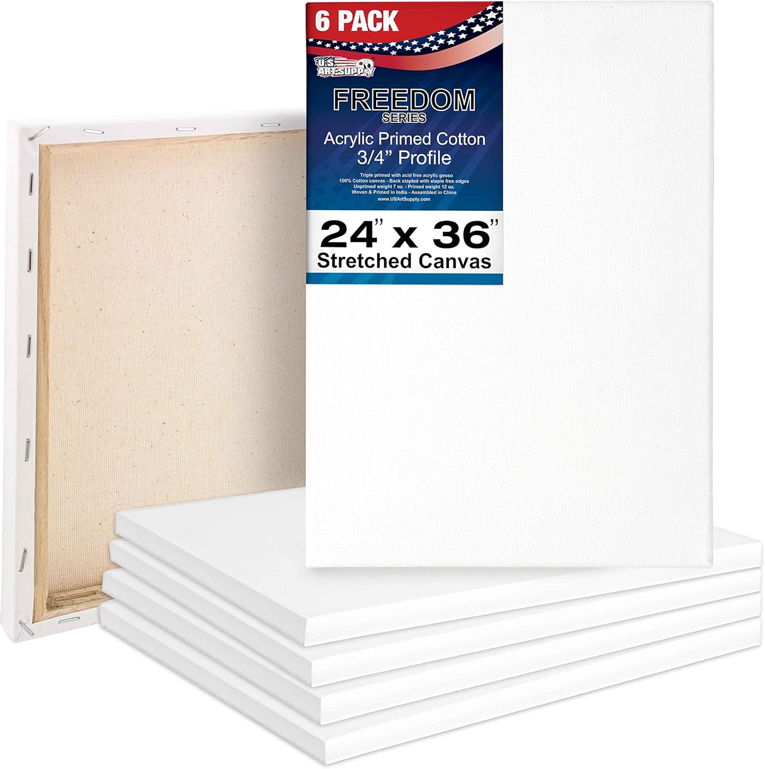 Professional Artist Quality Stretched Canvas 6-Pack for Painting