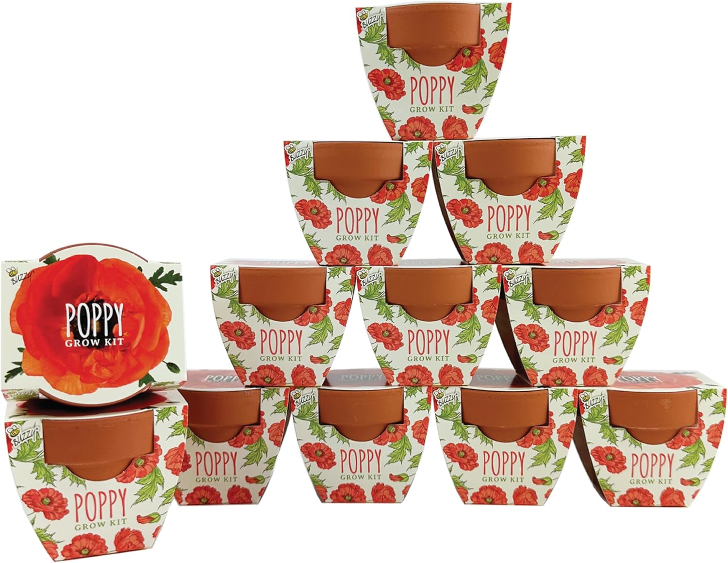 Buzzy Seeds Terracotta Mini Grow Pots for Herb and Flower Kits
