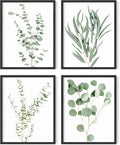 Botanical Plant Wall Art Prints Set of 4 for Home Decor