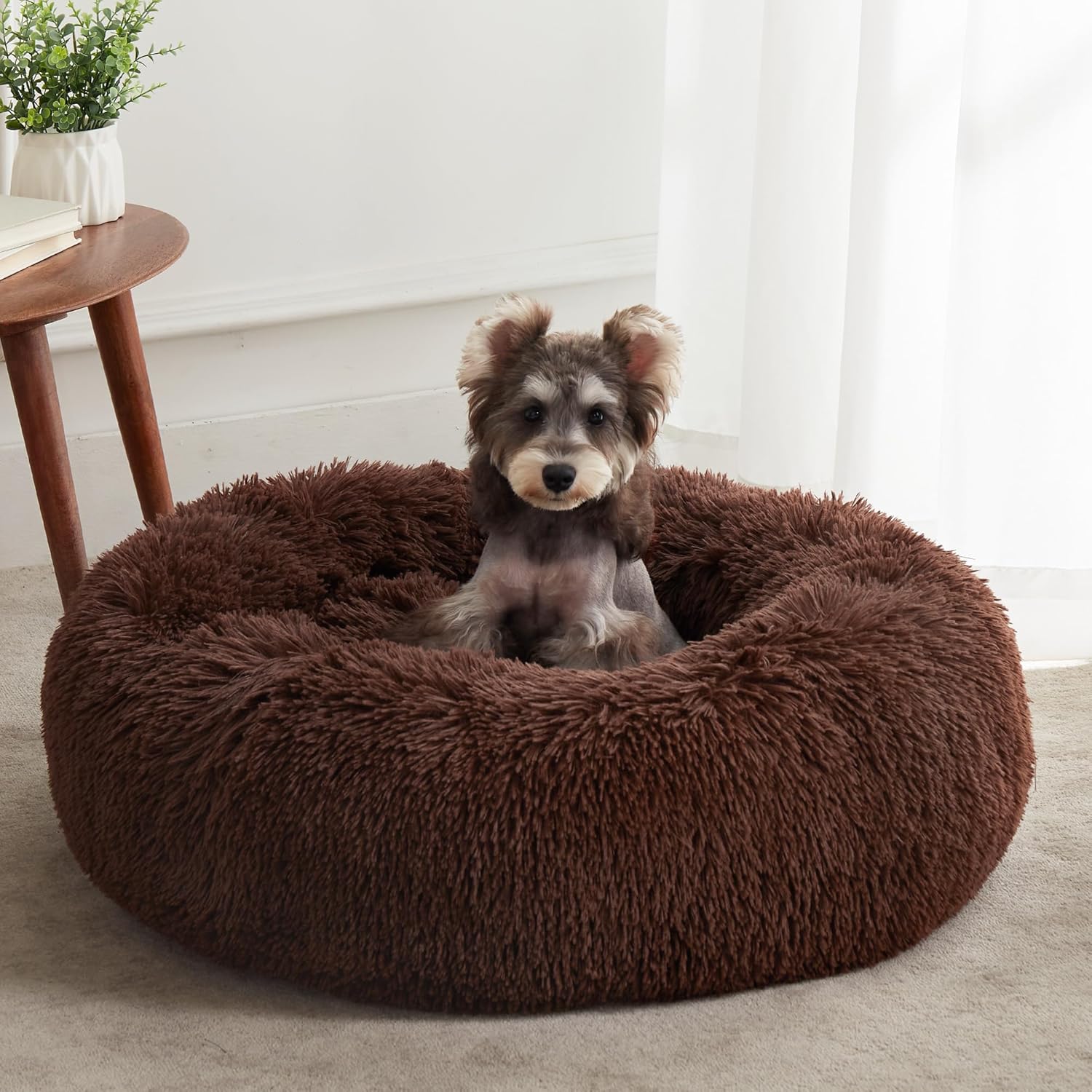 Calming Dog Bed & Cat Bed for Small Medium Pets - Cozy Comfort