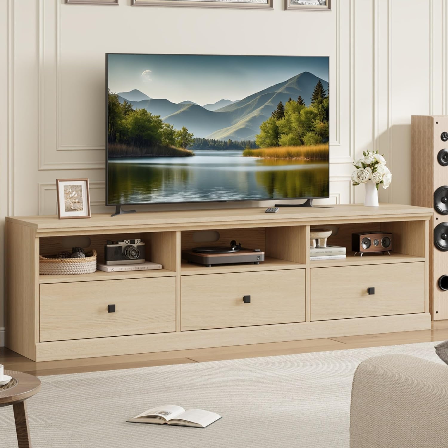Mid-Century Modern TV Stand | Storage Drawer & Shelves