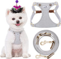 Puppytie No Pull Dog Harness XS with Versatile Leash Included
