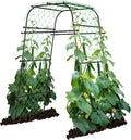 Garden Arch Plant Trellis for Climbing Plants Outdoor - 6.7FT