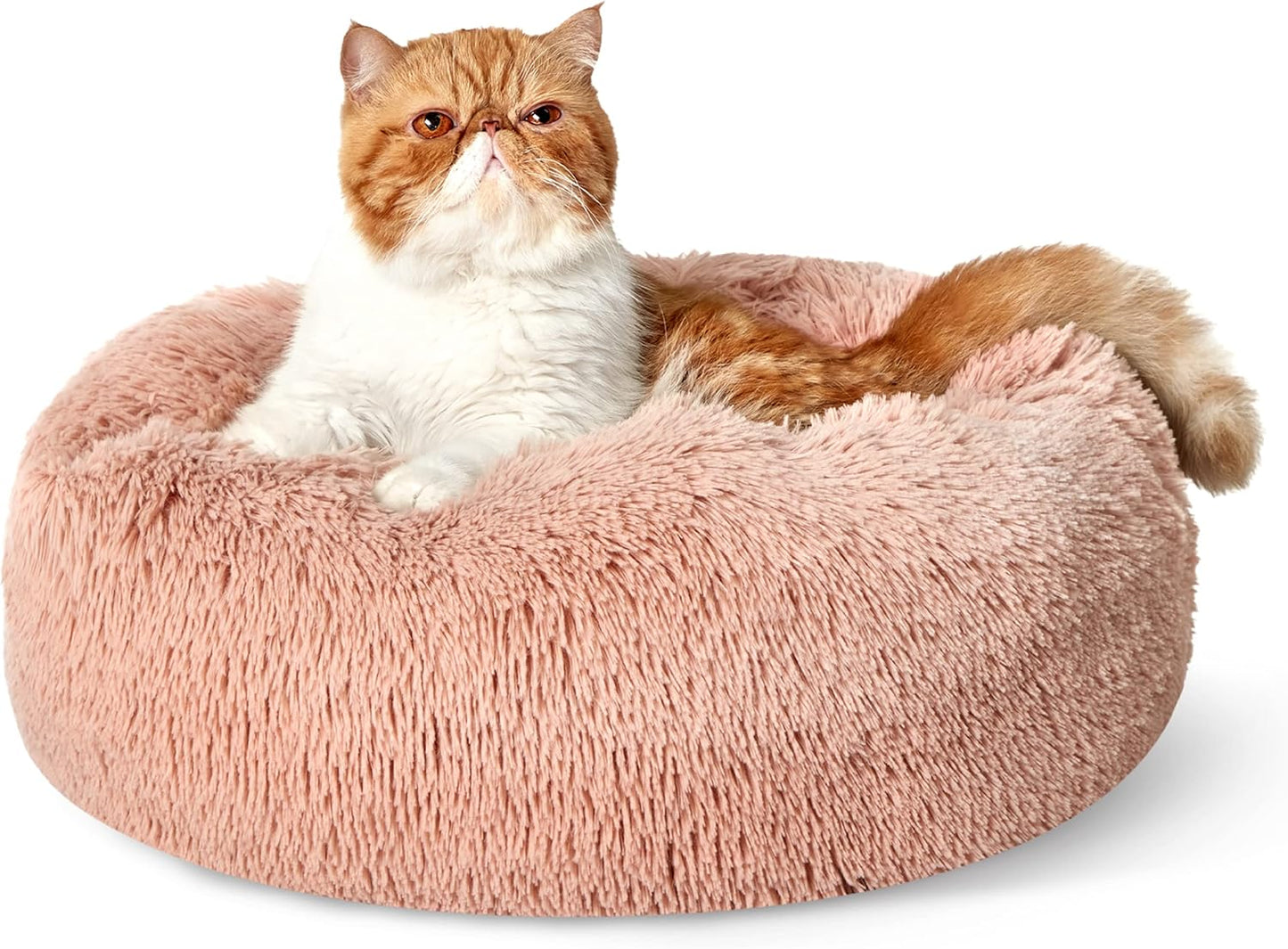 Calming Cat Beds for Indoor Cats - Cozy Plush Pet Bed 20 in