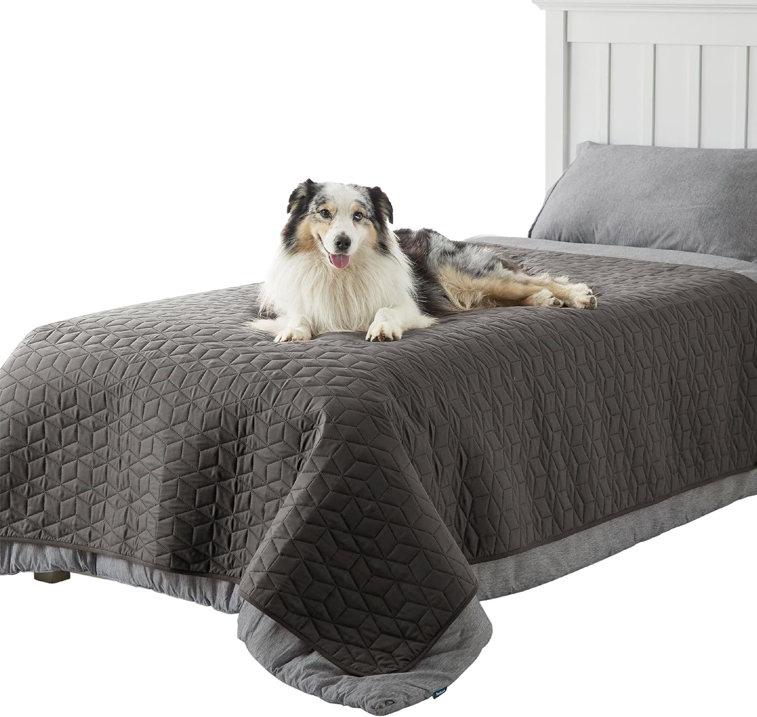 Waterproof Bed Cover for Dogs - Non Slip Furniture Protector