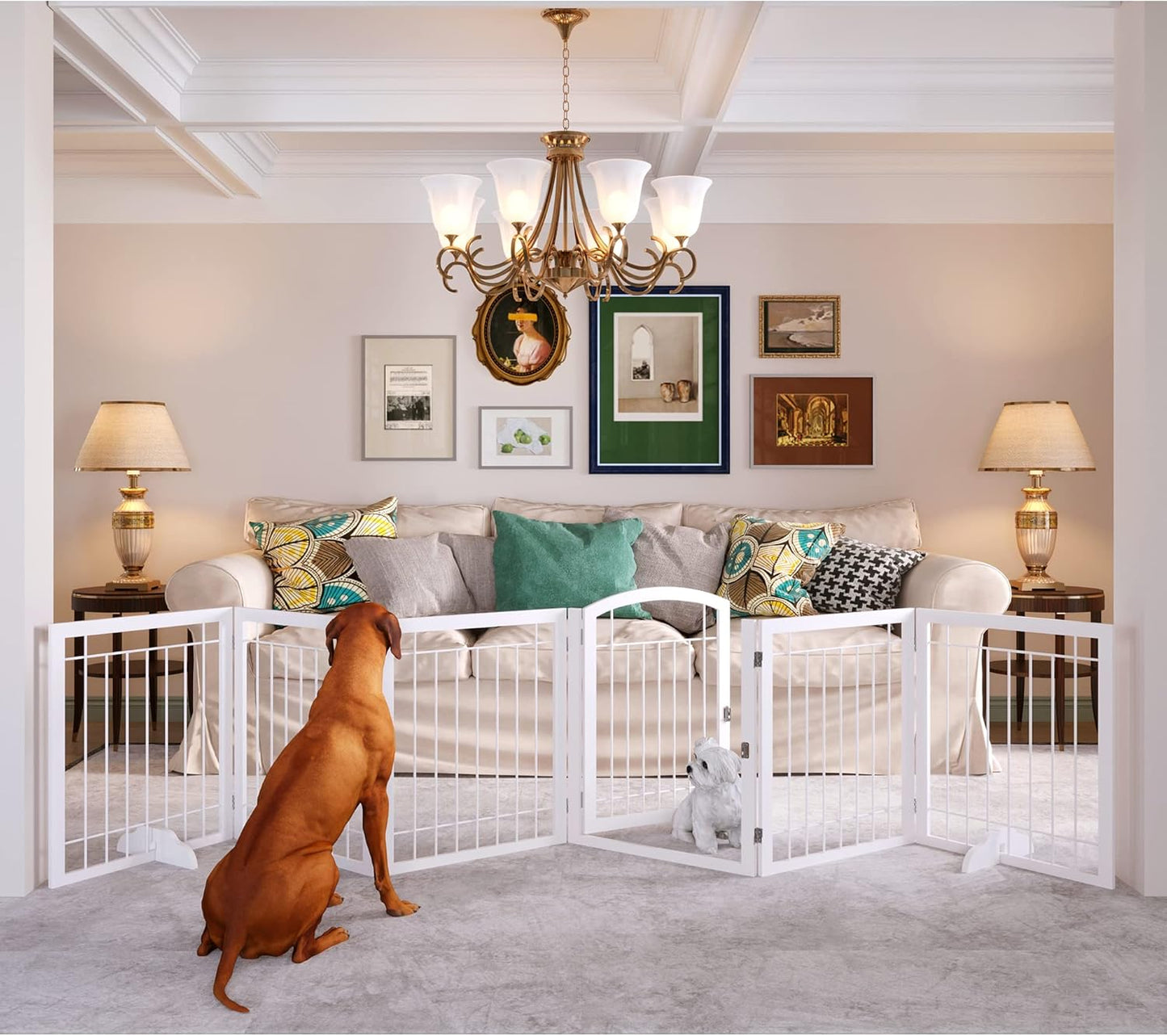 JSB 144-inch Extra Wide Dog Gate with Walk Through Door Design