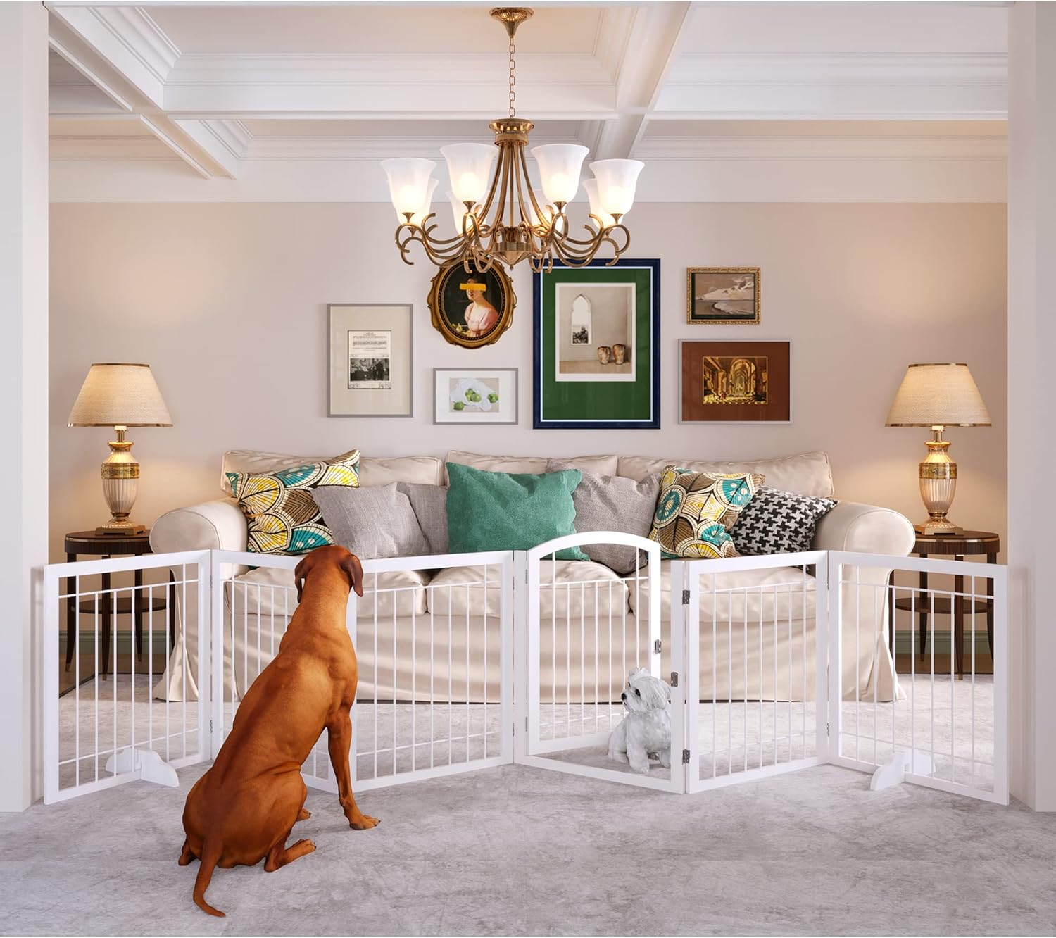 JSB 144-inch Extra Wide Dog Gate with Walk Through Door Design