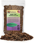 Money Tree Potting Soil Mix for Planting or Repotting - 4 Quart Bag