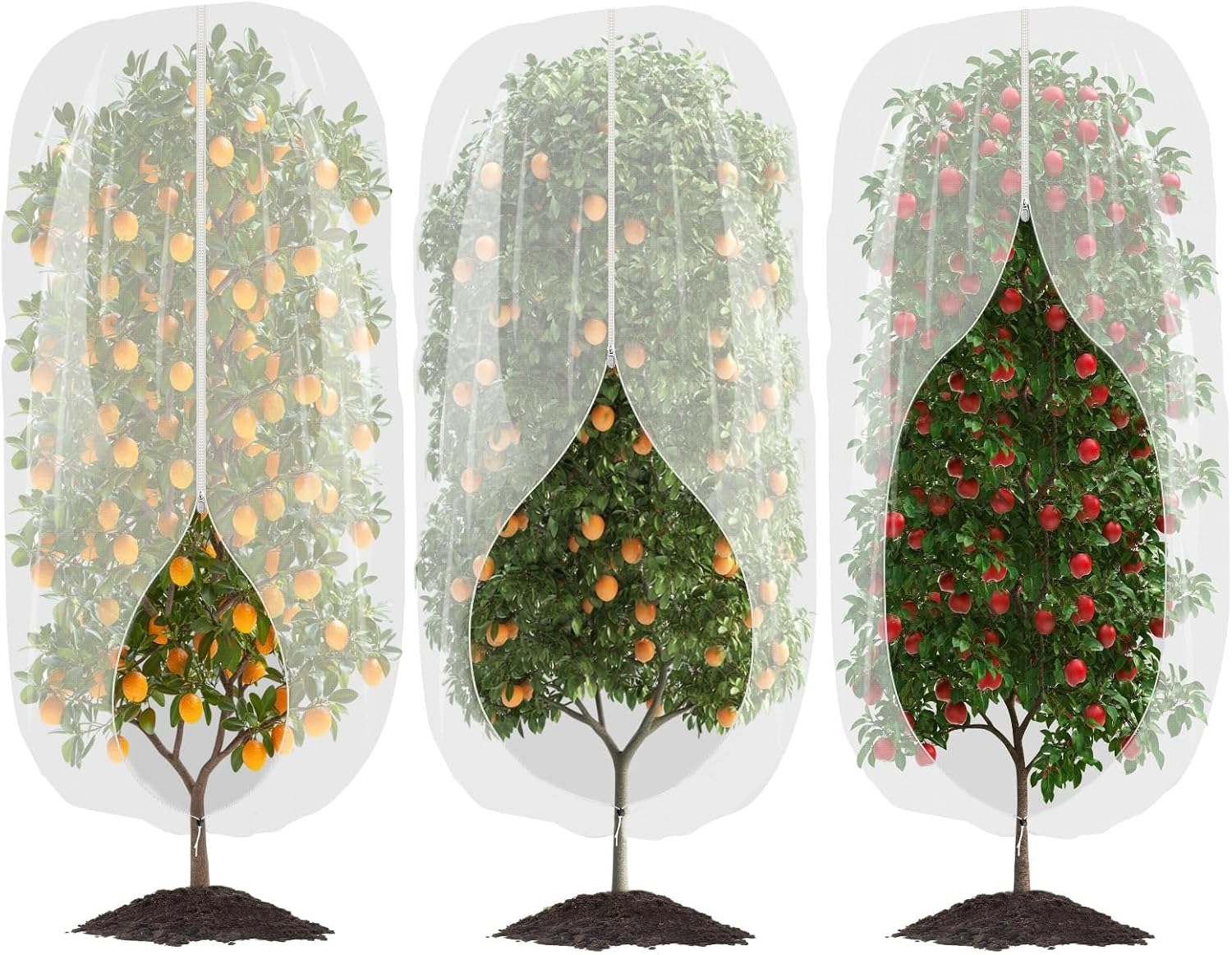 3pcs Garden Fruit Tree Netting with Zipper for Pest Protection