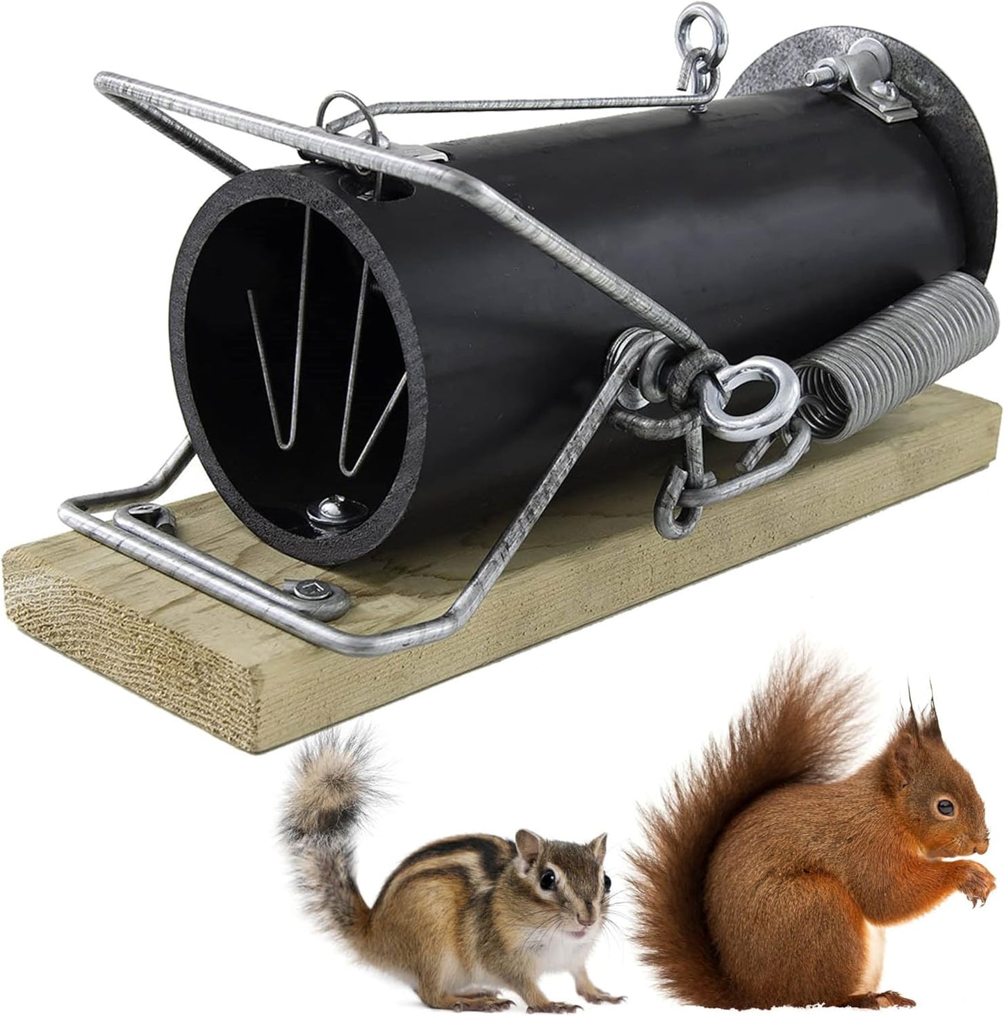 Squirrel Traps Outdoor - Effective and Durable Solutions