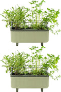 Vego Garden 2 Pack Herb Indoor Plant Box - Self Watering Planters