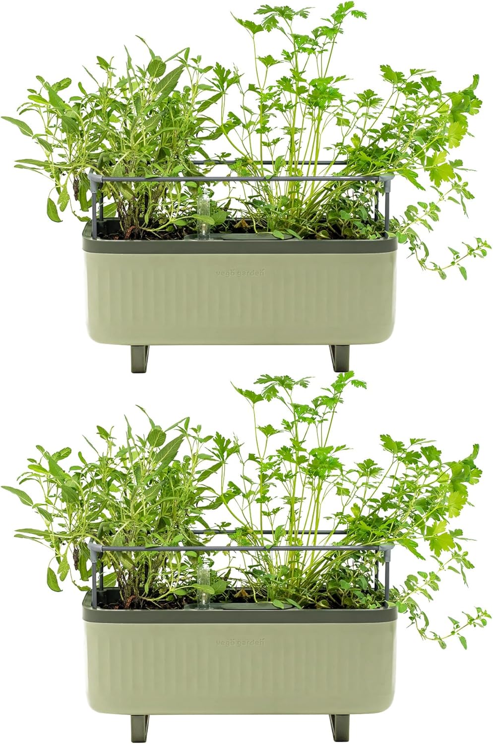 Vego Garden Herb Indoor Plant Box with Trellis for Easy Growth