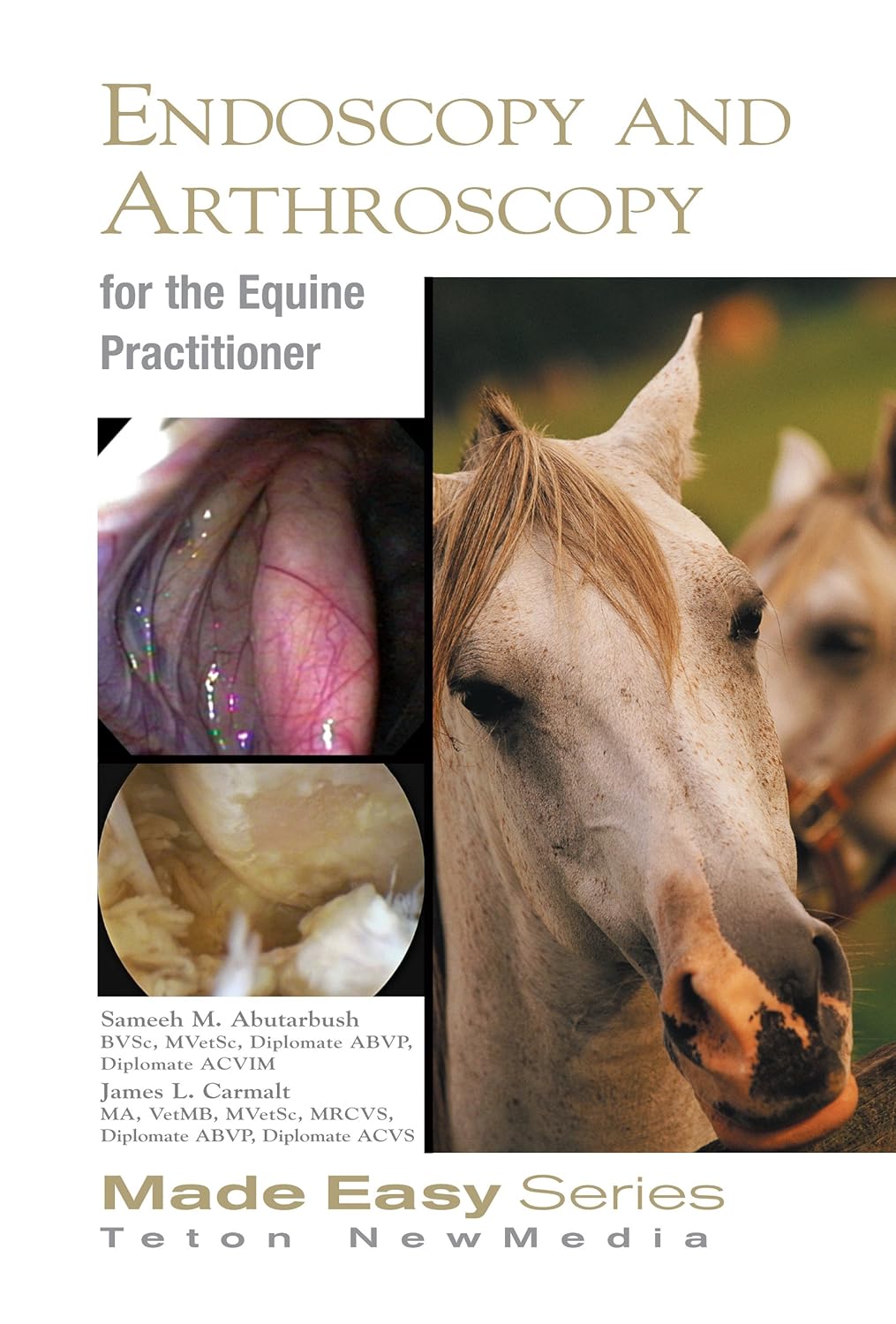 Equine Endoscopy and Arthroscopy for the Equine Practitioner Guide