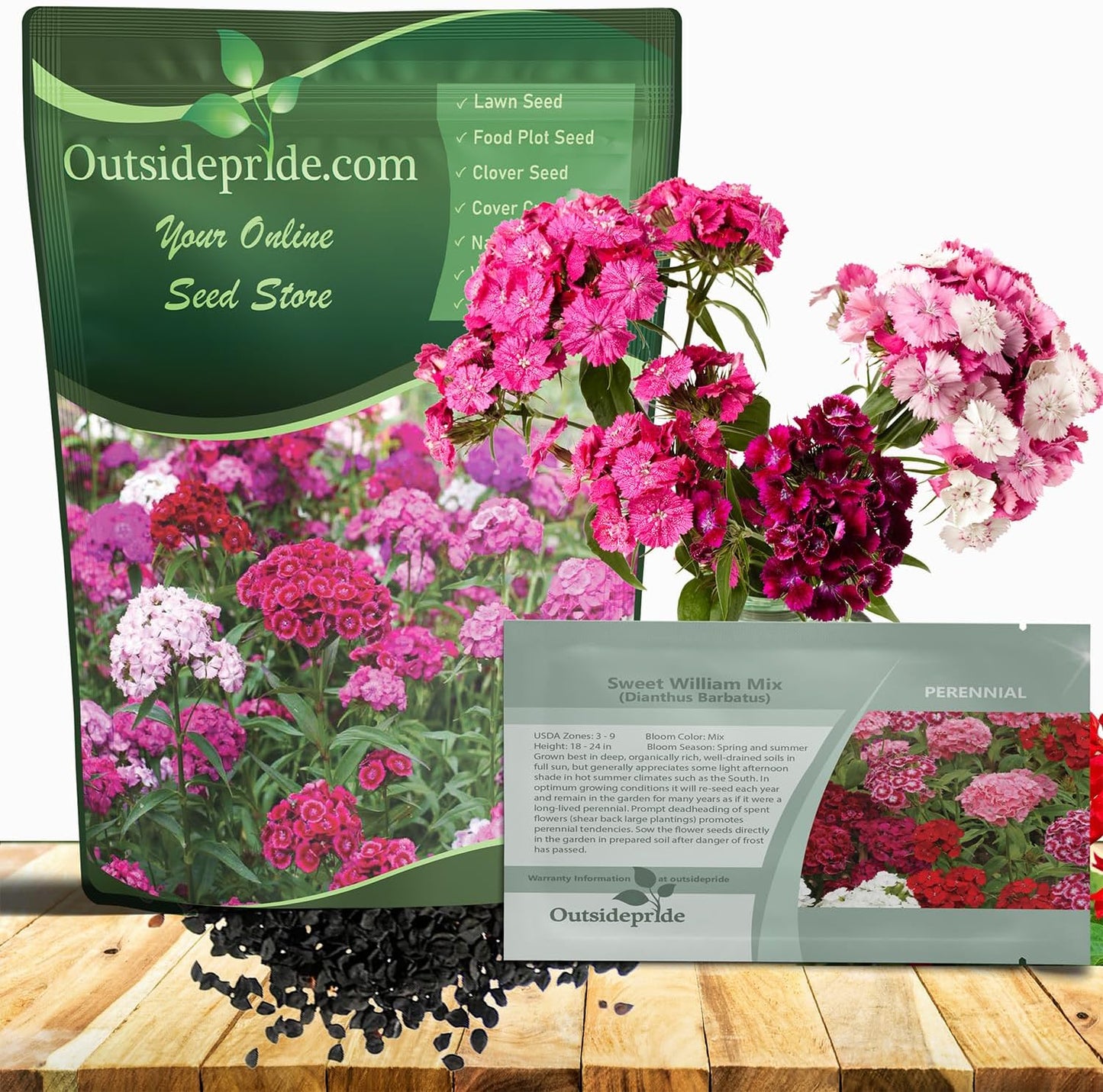 Sweet William Dianthus Seeds for Colorful Pollinator Gardens