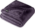 Microplush Fleece Blanket Full/Queen - Ultra-Soft Lightweight Comfort