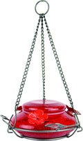 Nature's Way MHF4 Hand Blown Hummingbird Feeder for Gardens
