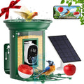 2K HD Bird Feeder Cam: Solar Power, Species ID