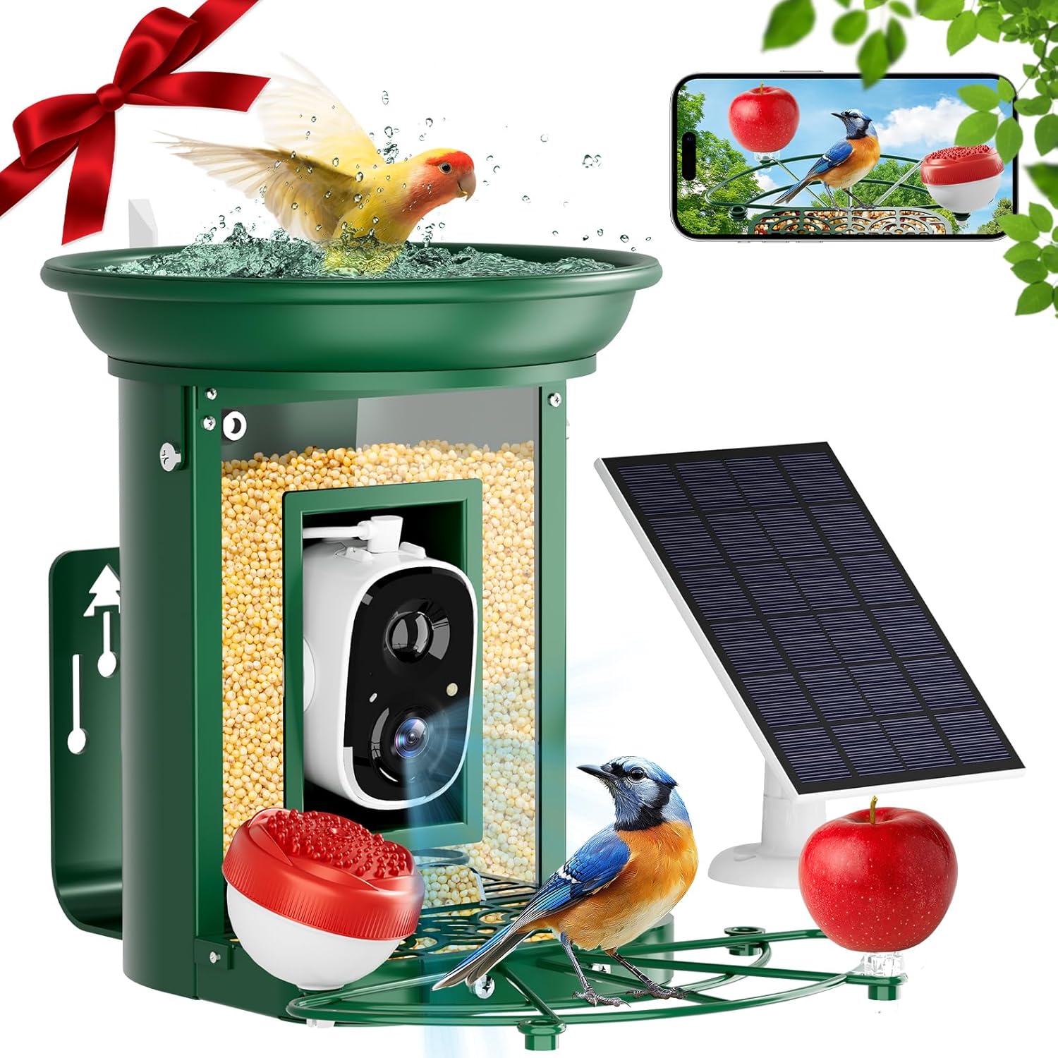 2K HD Bird Feeder Cam: Solar Power, Species ID