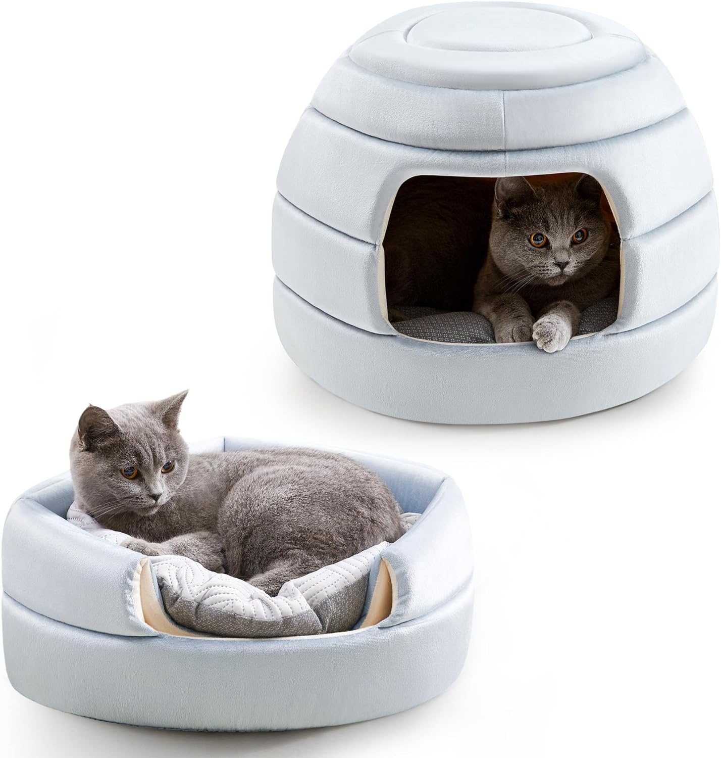 Foldable Cat Bed: All-Season Comfort!