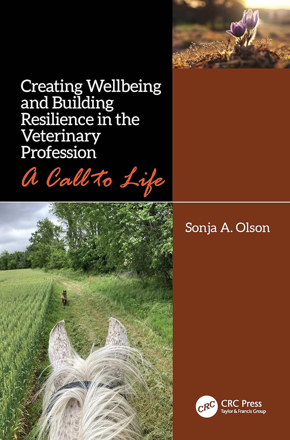 Building Resilience and Wellbeing in the Veterinary Field