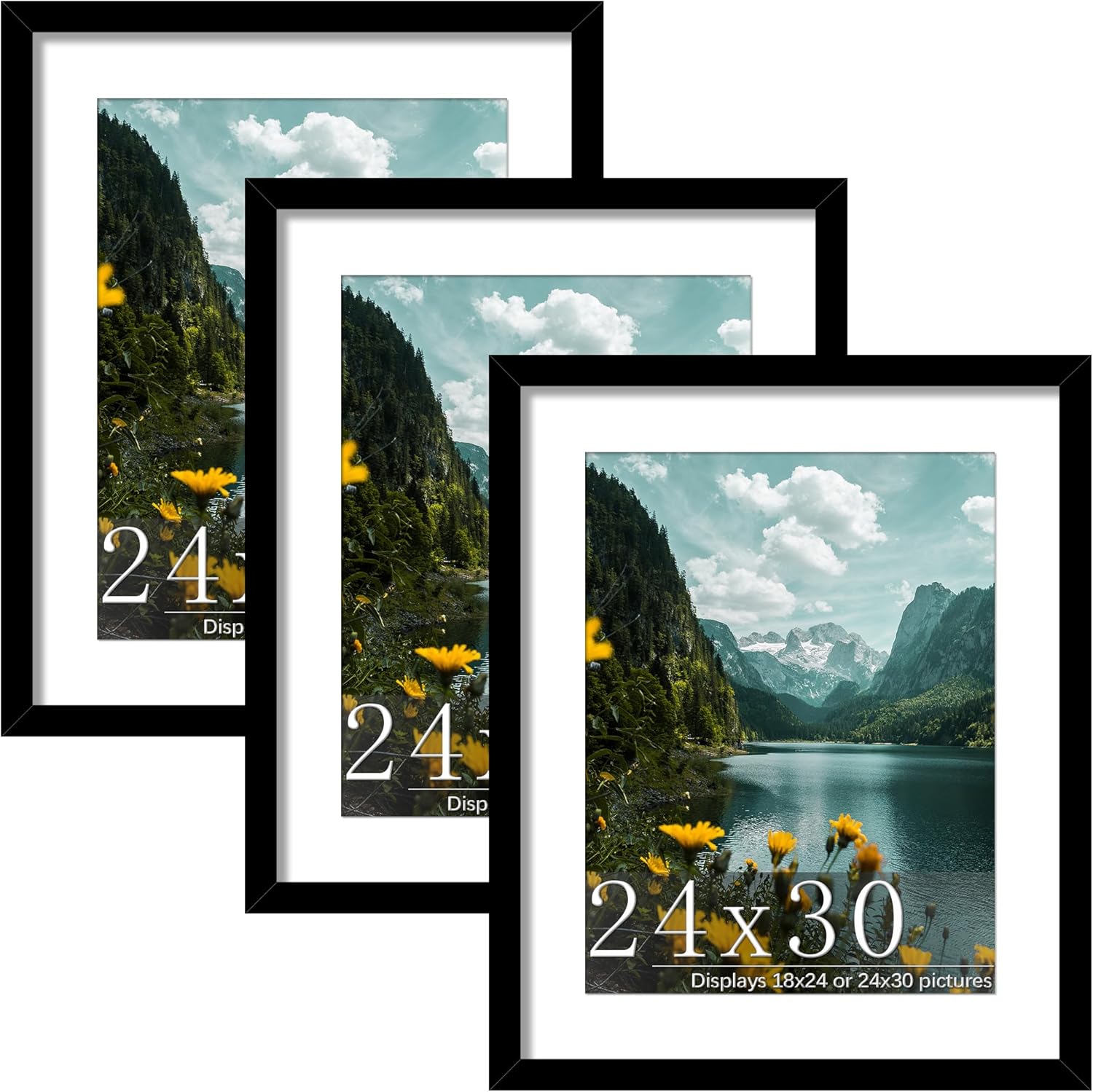 Picrit 24x30 Picture Frame 3 Pack for Flexible Display Options