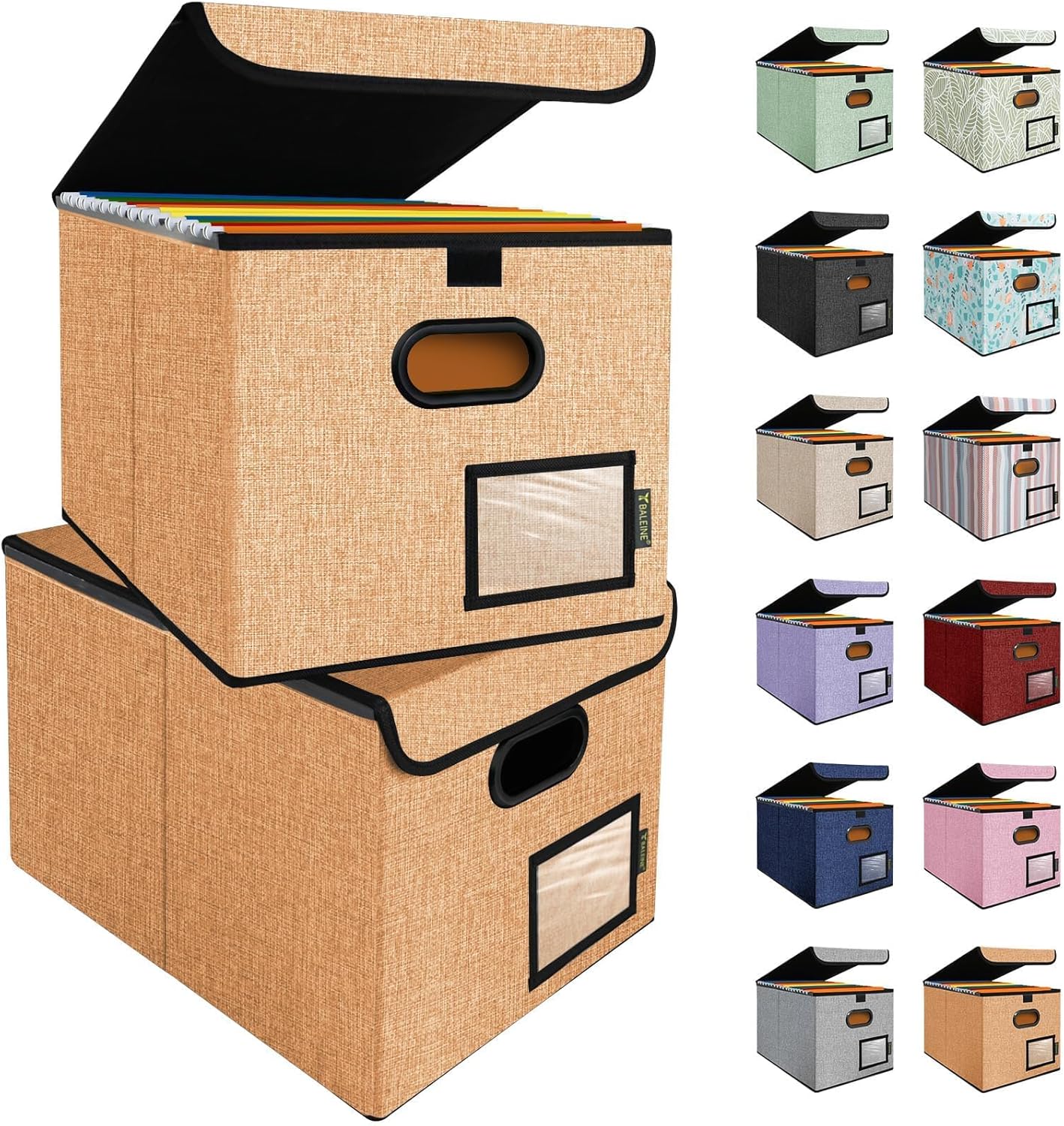 BALEINE File Organizer Box with Lid for Efficient Document Storage