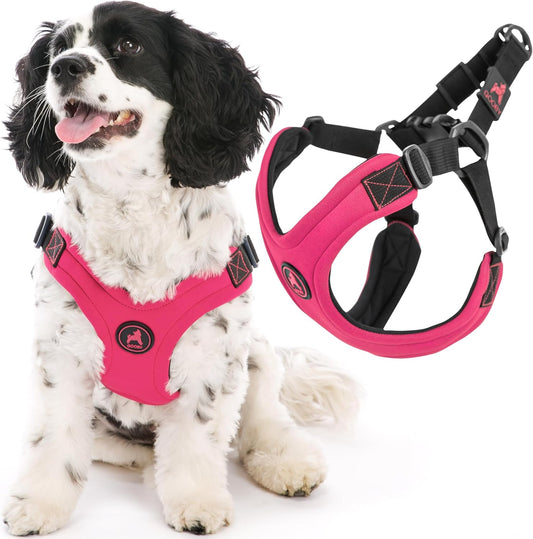 Gooby Escape Free Sport Harness for Small Dogs - No Choke Design