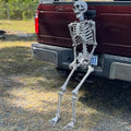 DUNCHATY Halloween Skeleton Decorations 5.5ft Posable Hanging Prop