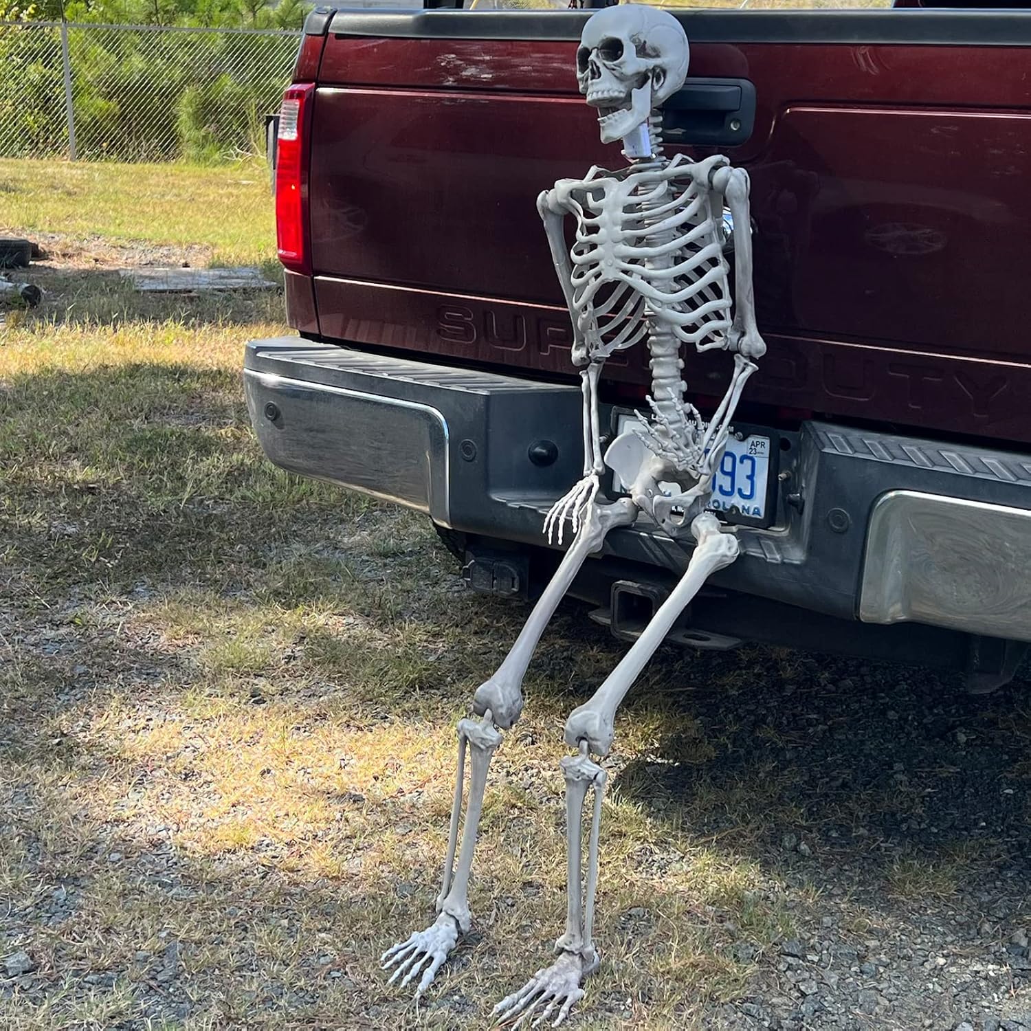 5.5FT Life Size Skeleton Decoration for Halloween Fun