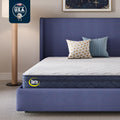 Serta Five Star Mattress Tranquility 10-Inch Plush Pillow Top Twin