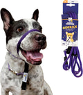 Heather's Heroes Sidekick Dog Headcollar with Leash - Stops Pulling