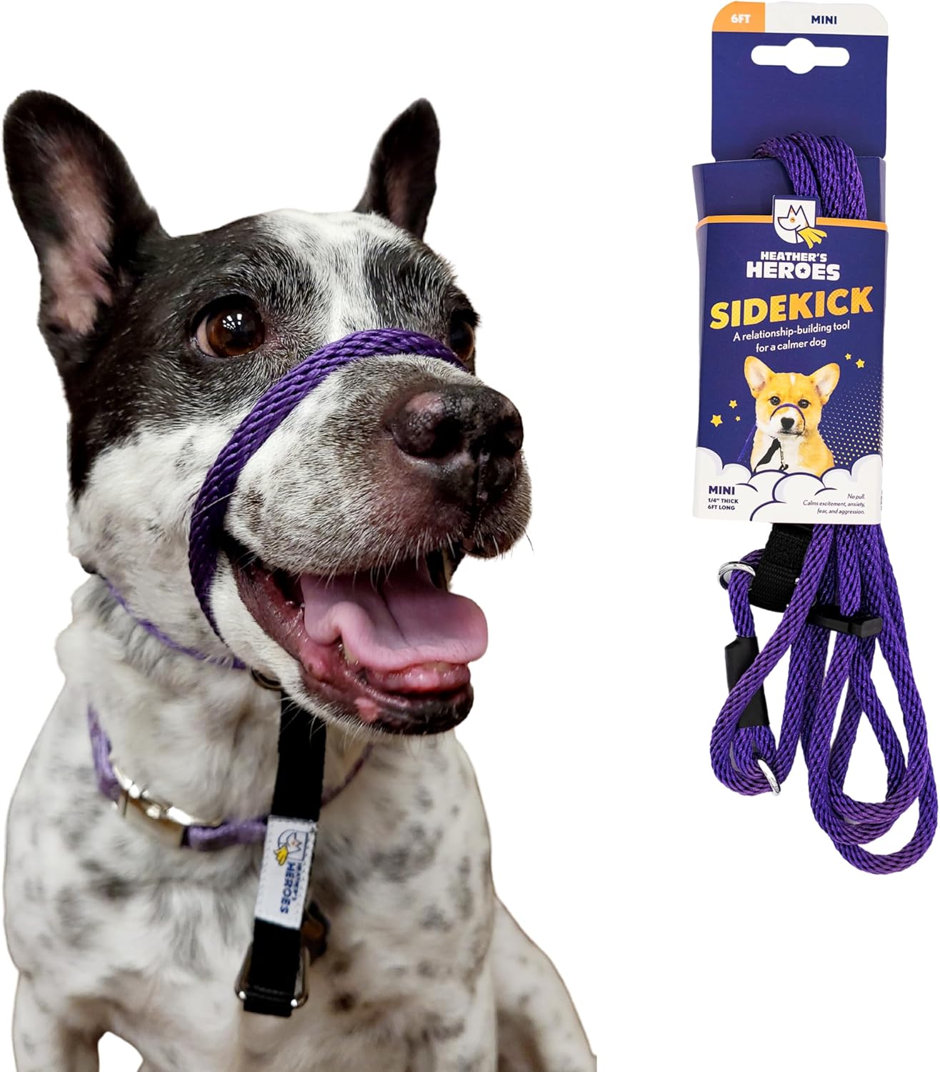 Effective Dog Headcollar for Leash Reactivity and Behavior Issues