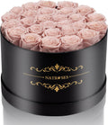 Forever Preserved Roses in a Box - 27 Dusty Pink Rosebuds