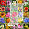 Eden Brothers Indiana Wildflower Mixed Seeds for Planting 1 lb