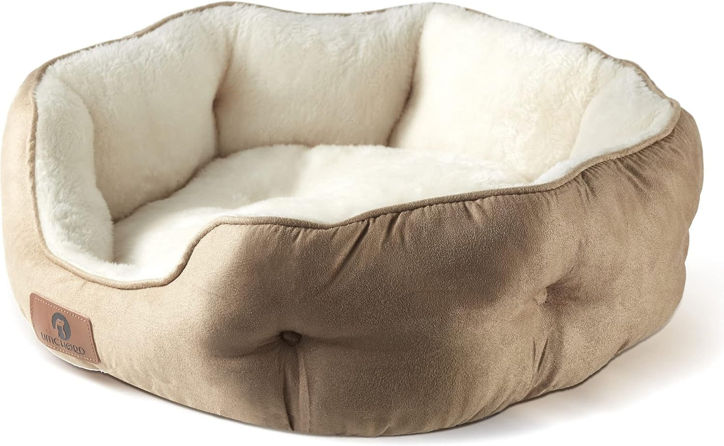 Asvin Medium Dog Bed for Cozy Comfort and Easy Care