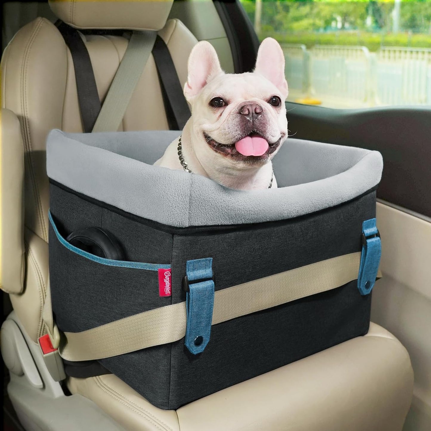 Cozy Dog Car Seat for Small Dogs with Unique Safety Buckles