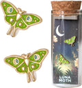 Luna Moth Earrings - 18K Gold Moth Studs for Nature Lovers