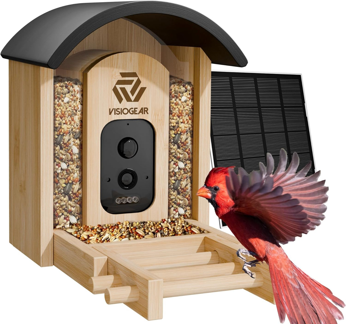 AI Bird Feeder Camera - Capture Wild Birds in Real-time!