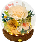 Champagne & Yellow Roses Long-Lasting Real Flowers - Gift for Her