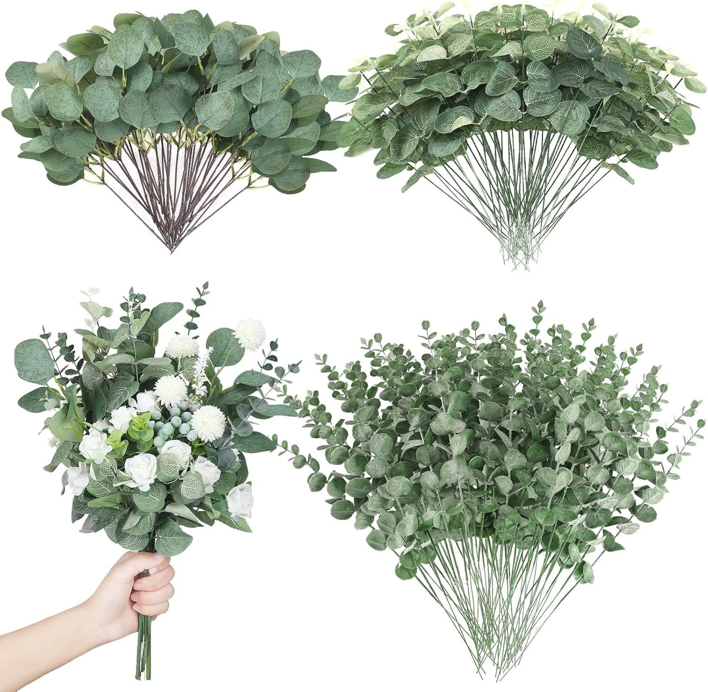 180 Pcs Mixed Eucalyptus Leaves for Stunning Floral Arrangements