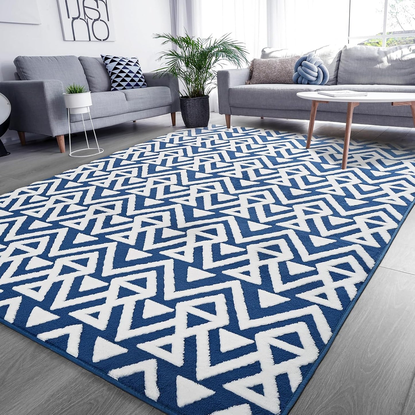 Ompaa Ultra Soft Shaggy Rugs for Bedroom and Living Room Decor
