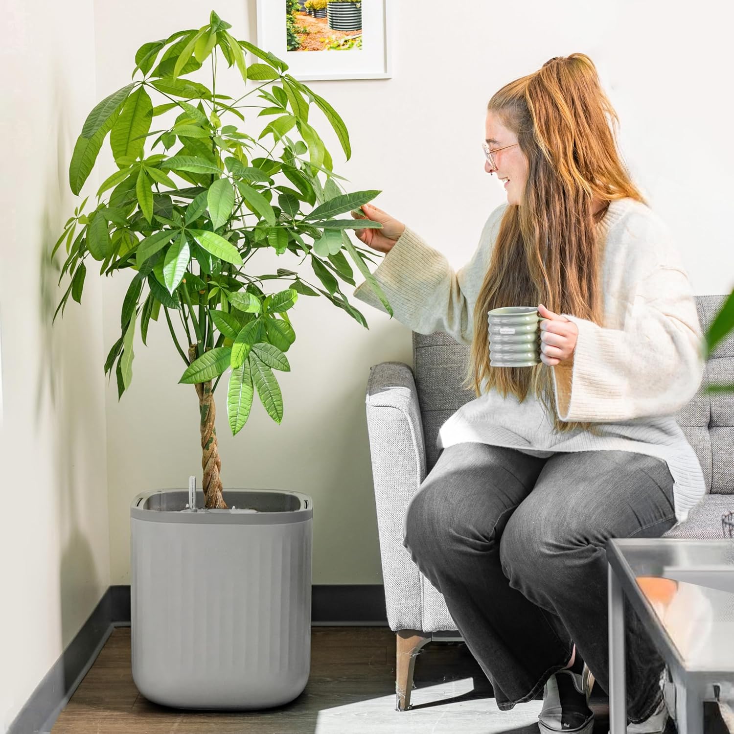 Vego Garden Self Watering Pots for Effortless Indoor Plants