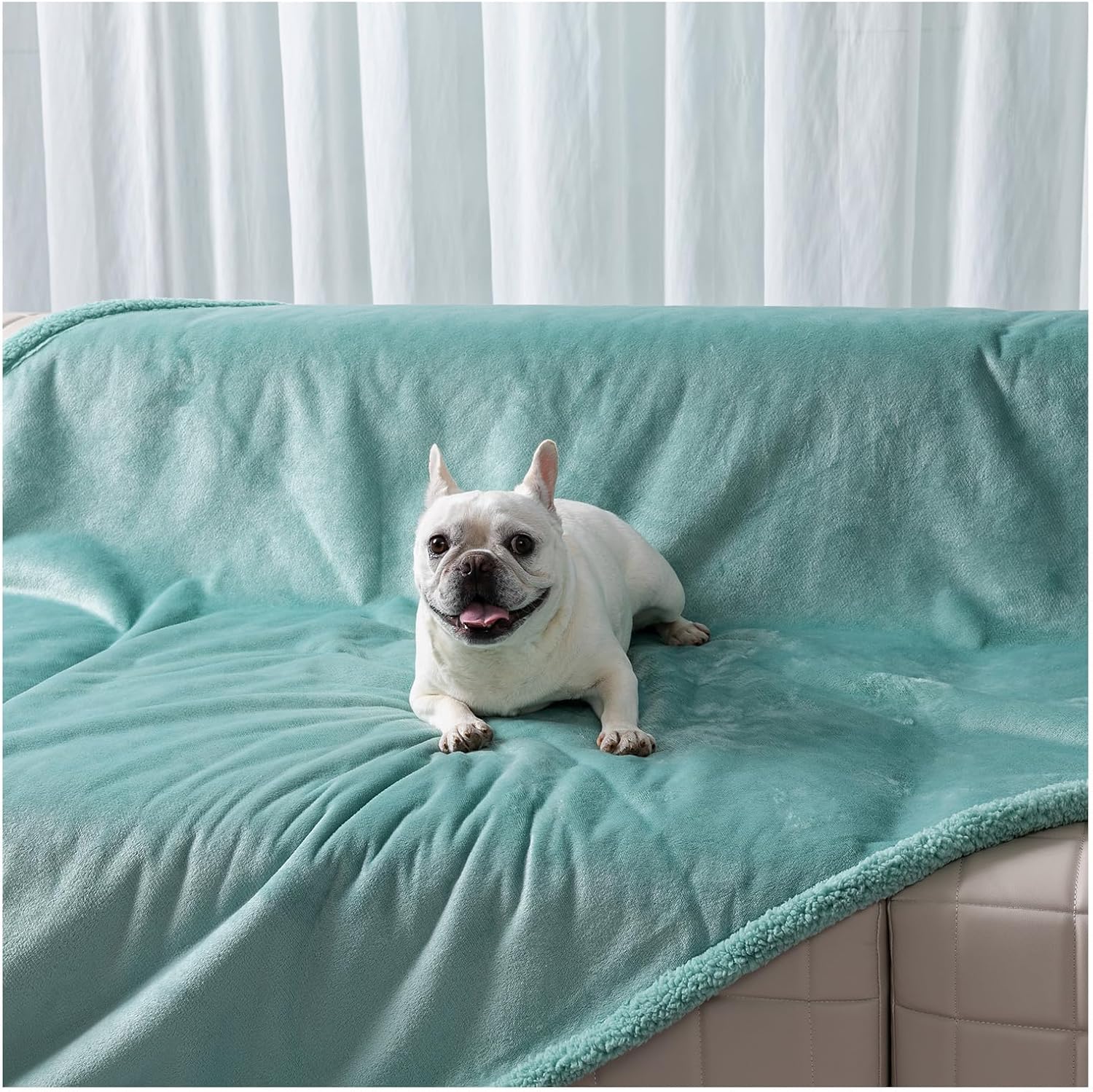 Waterproof Green Dog Blanket for Cozy Pet Comfort and Style