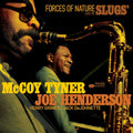 Forces Of Nature: Live At Slugs' - A Captivating Jazz Experience