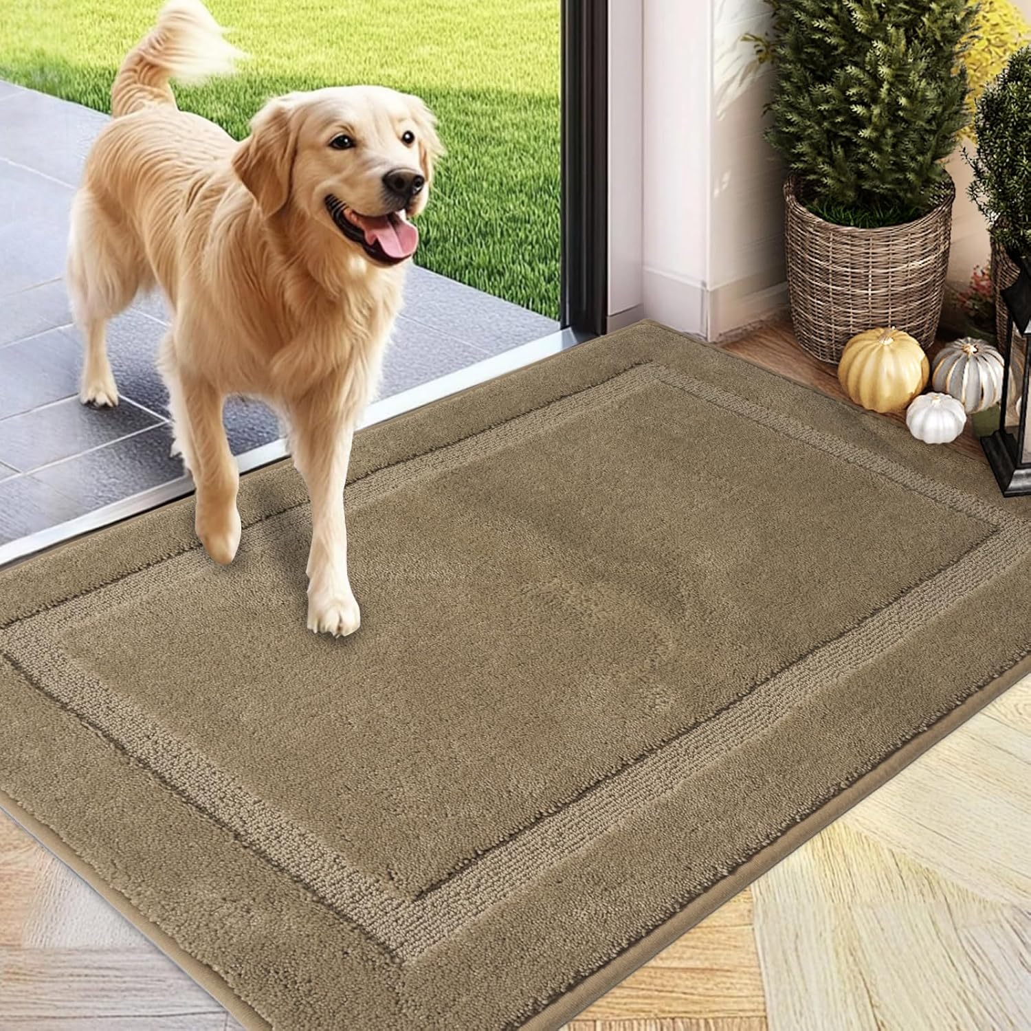 Absorbent Dirt Trapper Welcome Door Mat for Indoor Use