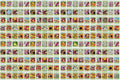 Flower Seed Packets Bulk Set of 200 - Best Value for Classrooms