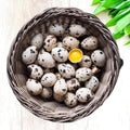 Farm Fresh Quail Eggs (24+ Ct) - Non-GMO Hormone Free
