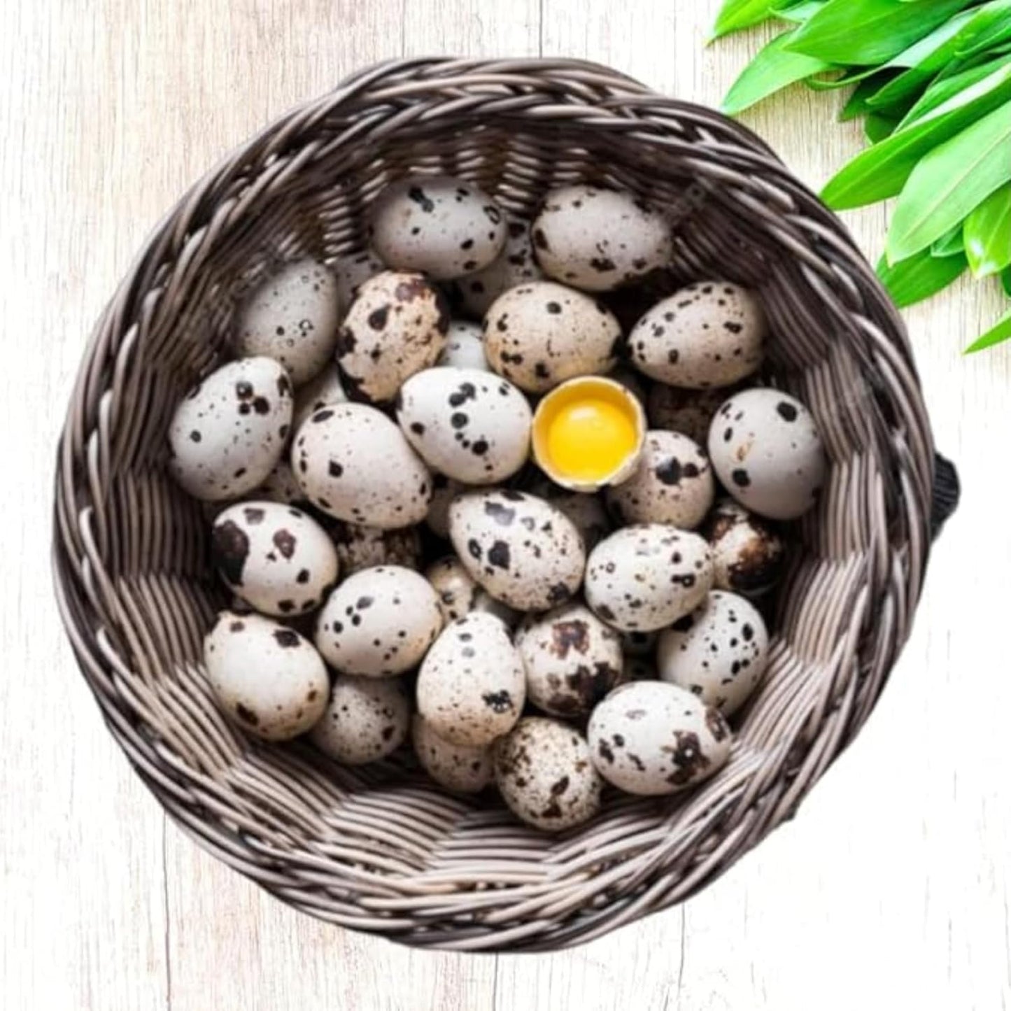 Farm Fresh Quail Eggs - Hormone Free, Non-GMO, 24+ Count