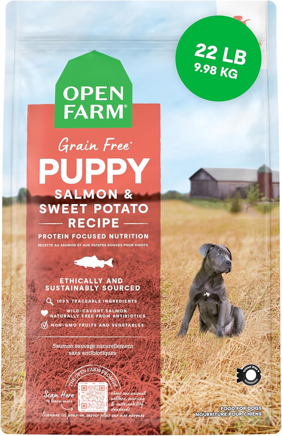 Grain-Free Dry Dog Food for Puppies with Salmon & Sweet Potato
